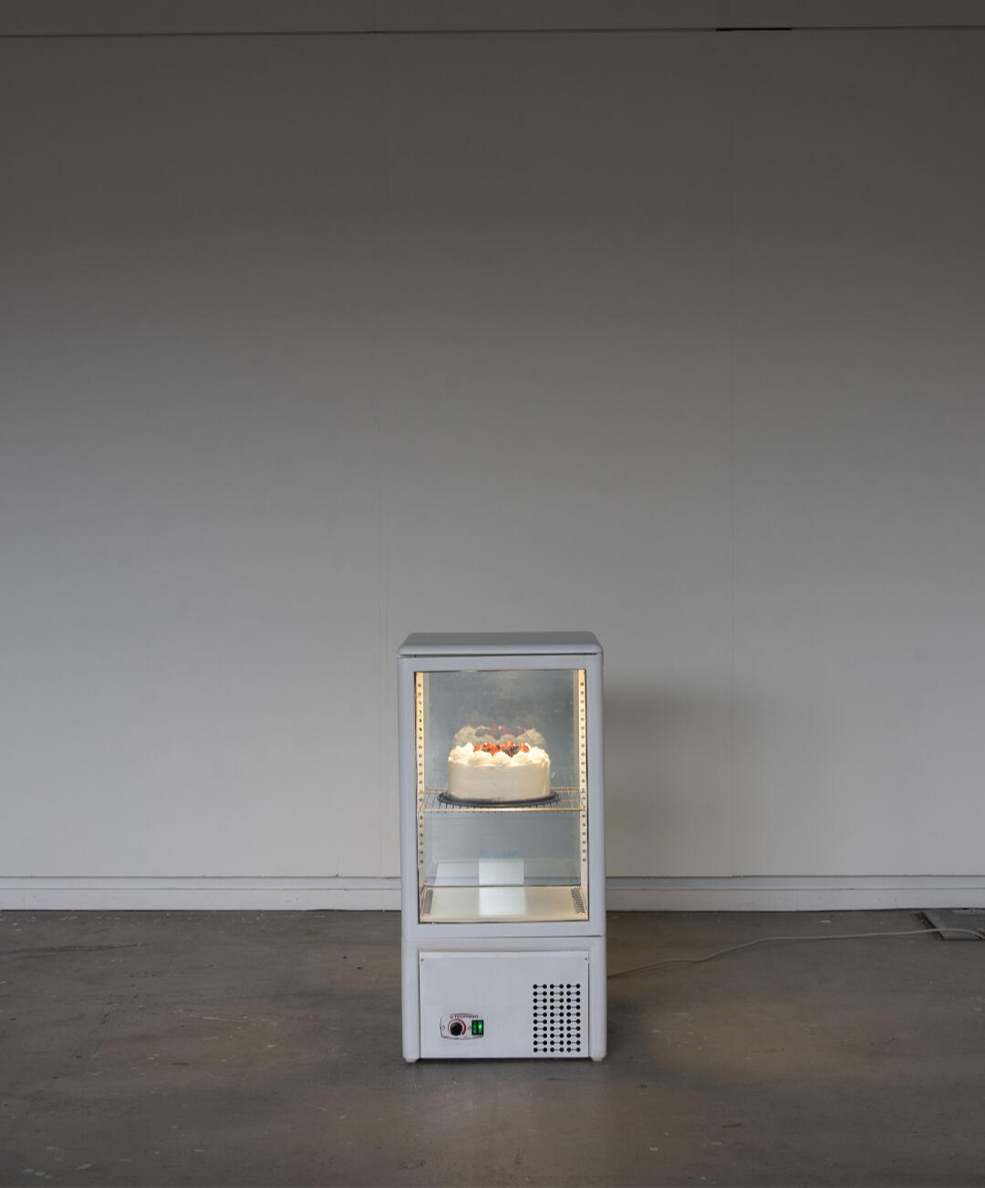 Apology Cake for Myself, 2024